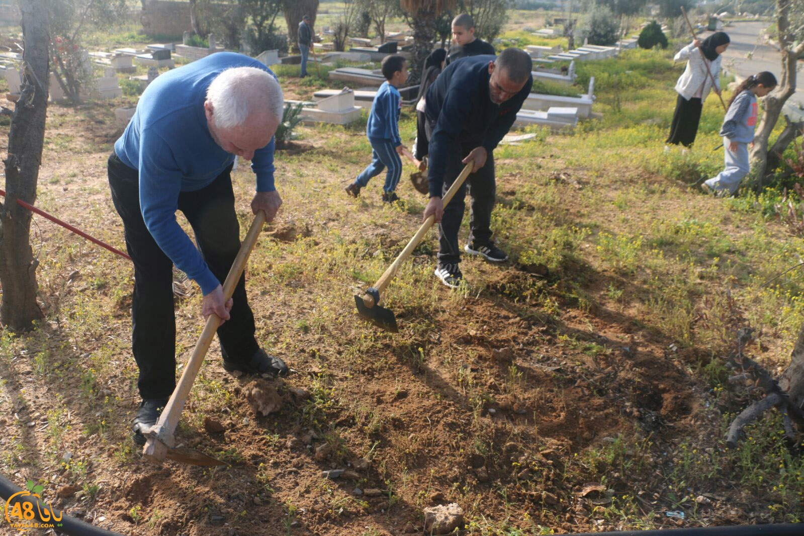 taso 23 tendedf (11).jpg